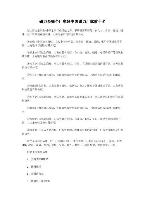磁力泵哪个厂家好中国磁力厂家前十名