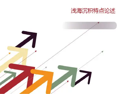 浅海沉积特点
