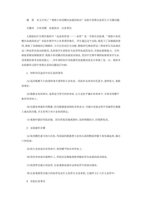 观察小鱼尾鳍内血液的流动