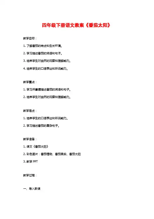 四年级下册语文教案《番茄太阳》