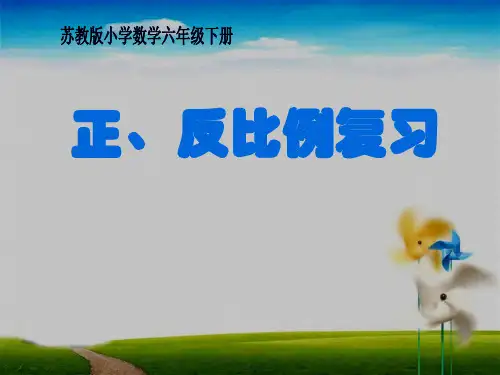 六年级数学下册课件正比例和反比例苏教版7(共12张PPT)