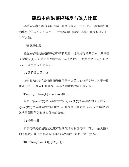 磁场中的磁感应强度与磁力计算