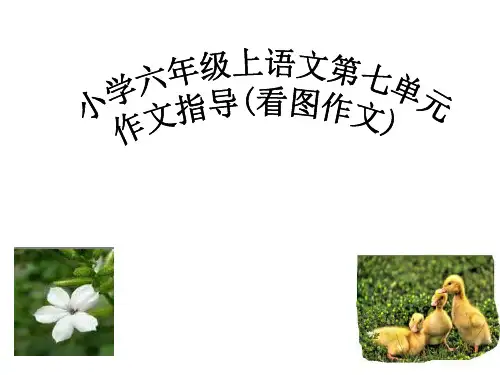 【人教版】小学语文六年级上册：第7单元作文指导课件(6)