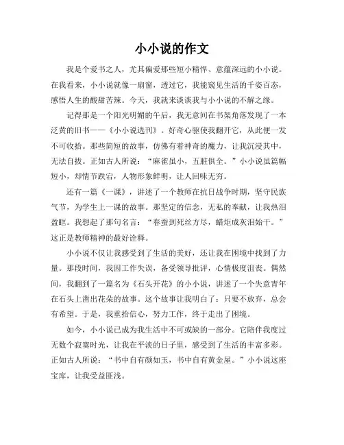 小小说的作文