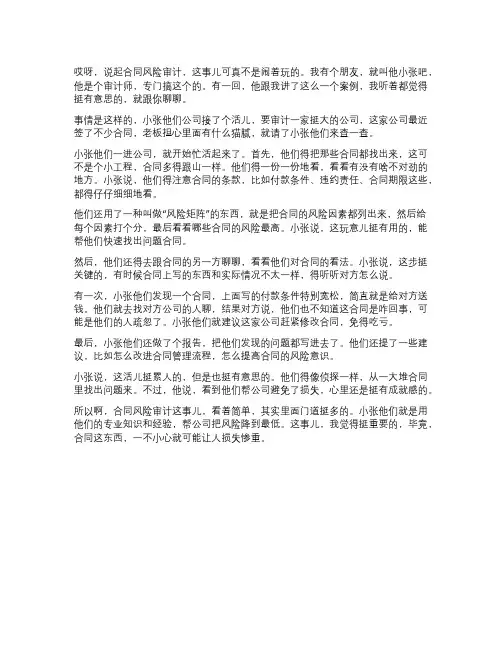 合同风险审计案例审计过程及方法