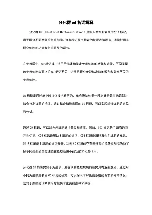 分化群cd名词解释