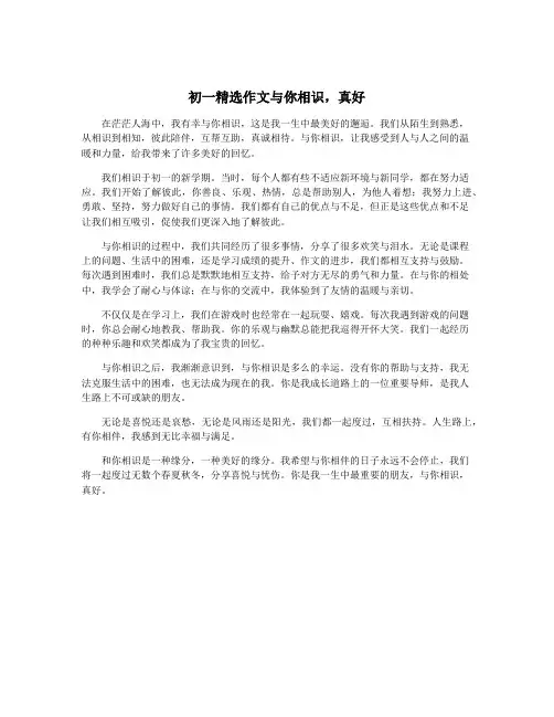 初一精选作文与你相识,真好