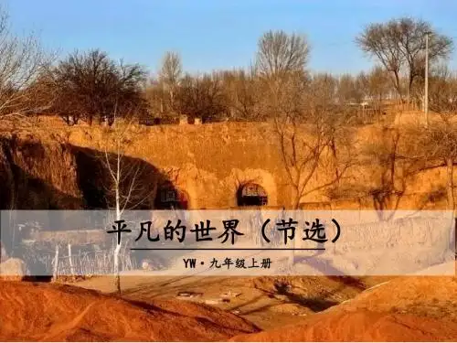 7 平凡的世界(节选)