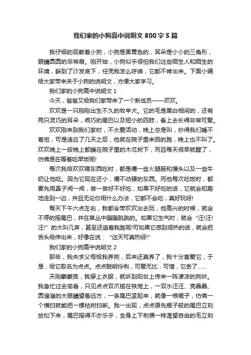 我们家的小狗高中说明文800字5篇