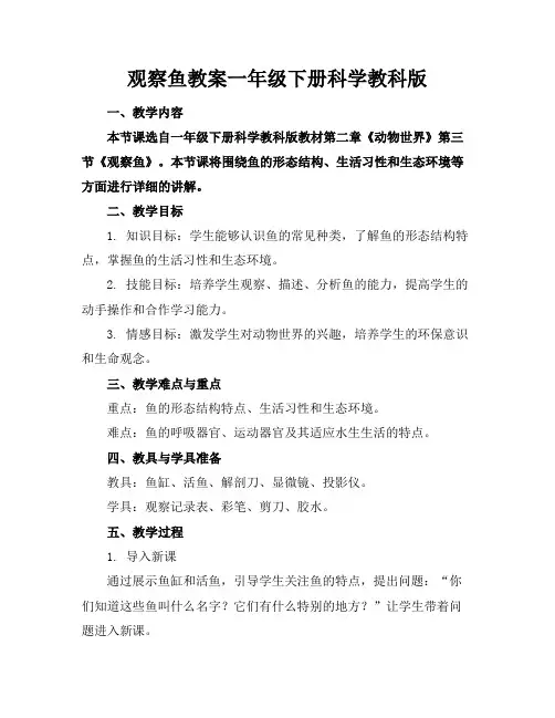观察鱼教案一年级下册科学教科版