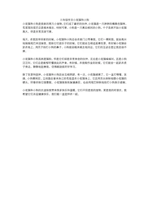 三年级作文小花猫和小狗