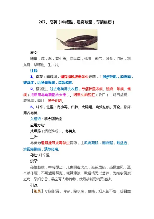 207、皂荚（辛咸温，通窍破坚，专清焦痰）