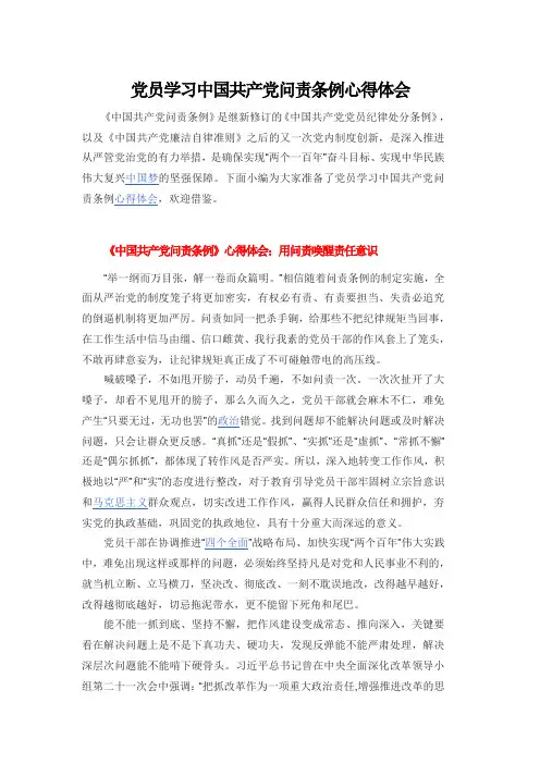 学心问责的心得体会