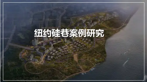美国纽约硅巷案例详解(最全)