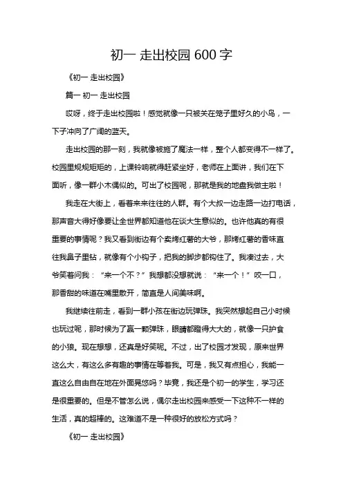 初一 走出校园 600字