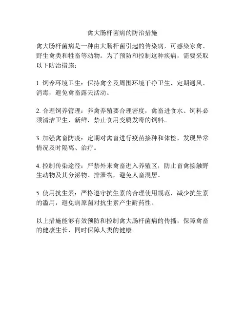 禽大肠杆菌病的防治措施
