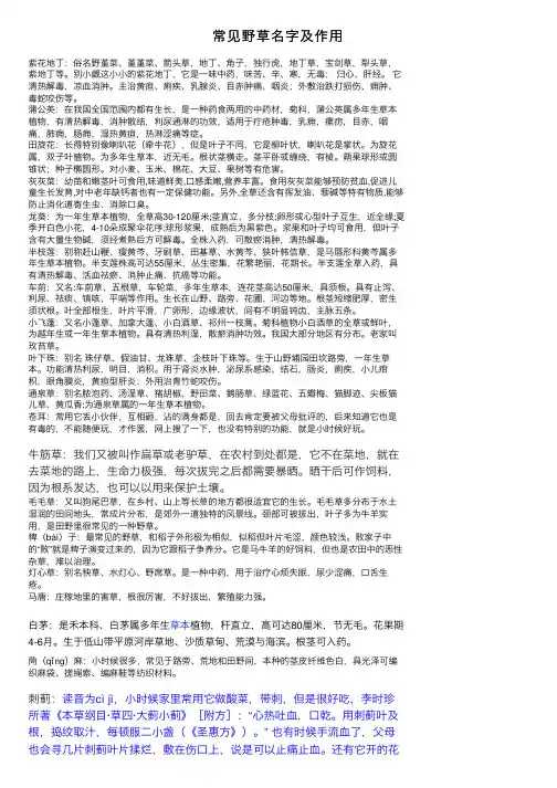 常见野草名字及作用