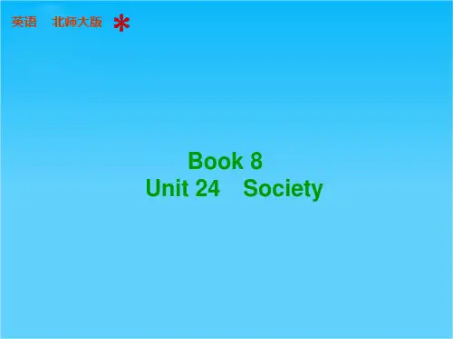 高三英语(北师大版 通用)总复习配套课件book 8 Unit 24 Society