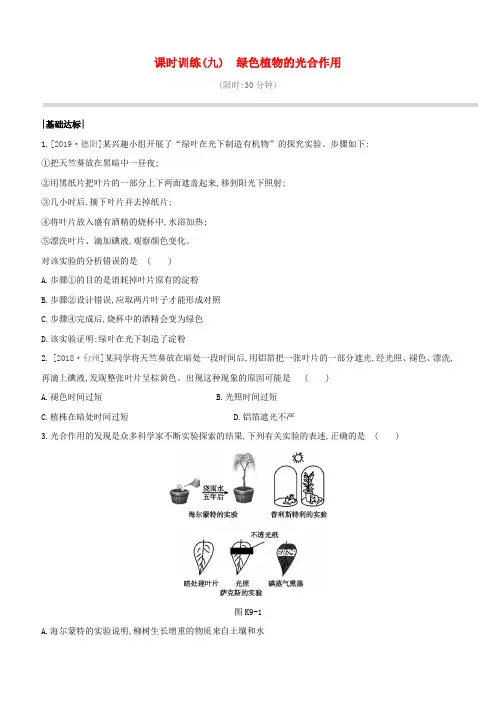 (新课标)中考生物复习第三单元生物圈中的绿色植物课时训练09绿色植物的光合作用