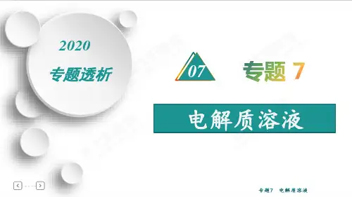 高中化学专题7  电解质溶液(72张ppt)