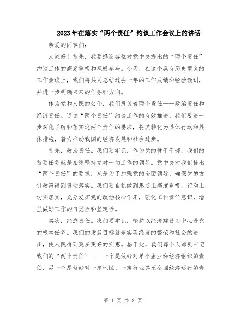 2023年在落实“两个责任”约谈工作会议上的讲话