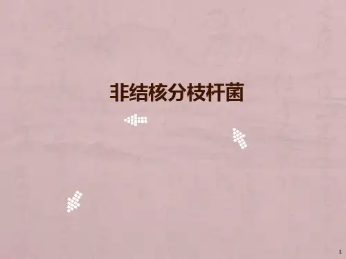 非结核分枝杆菌感染ppt课件