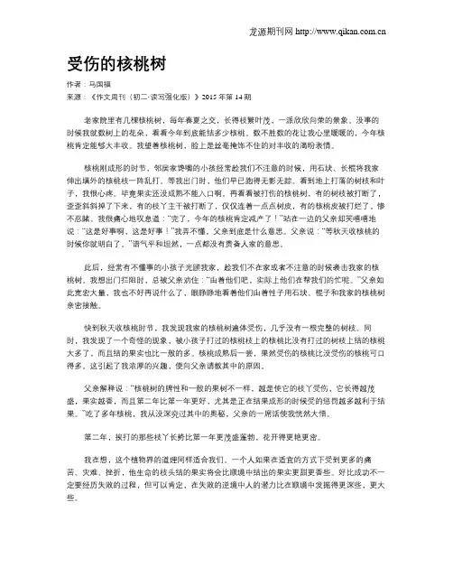 受伤的核桃树