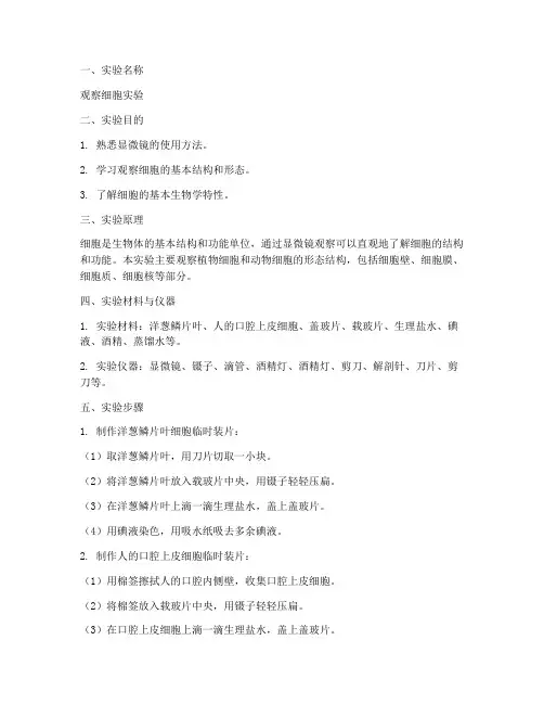 观察细胞实验报告模板
