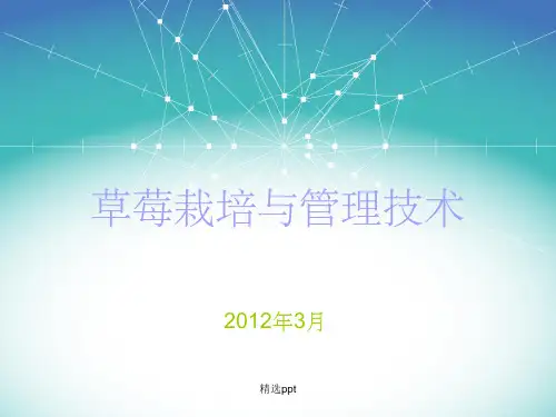 草莓栽培与管理技术(培训完整)ppt课件