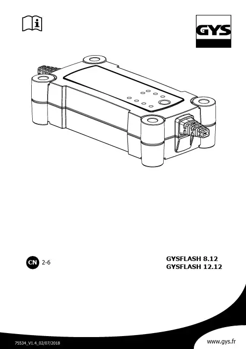 GYSFLASH 8.12   12.12 使用手册说明书
