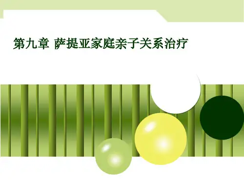 第九章 萨提亚家庭亲子关系治疗