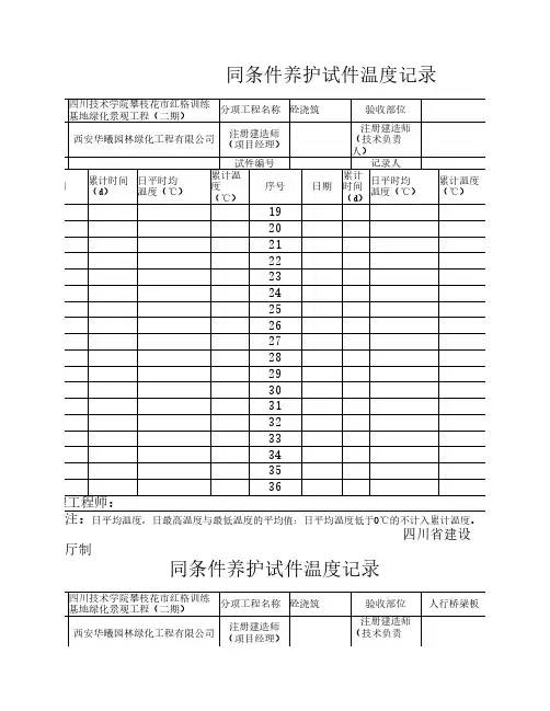 同条件养护试件温度记录