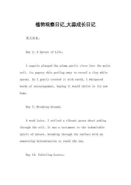 植物观察日记_大蒜成长日记