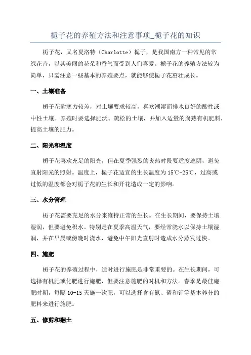 栀子花的养殖方法和注意事项_栀子花的知识