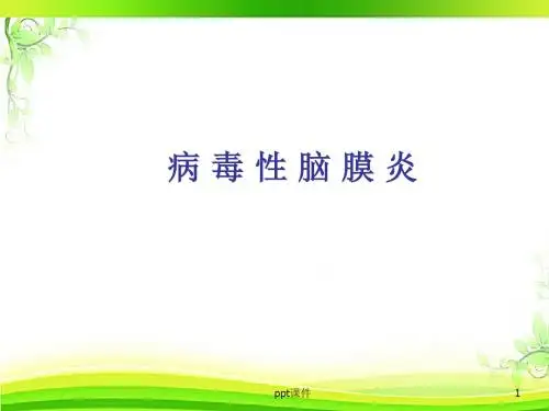 病毒性脑膜炎(概述与护理)  ppt课件
