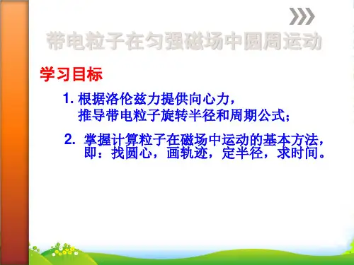 带电粒子在磁场中的圆周运动-课件