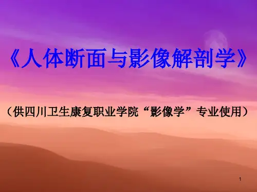 《人体断面与影像解剖学》PPT课件