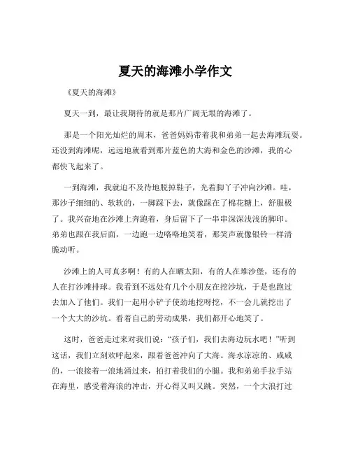 夏天的海滩小学作文