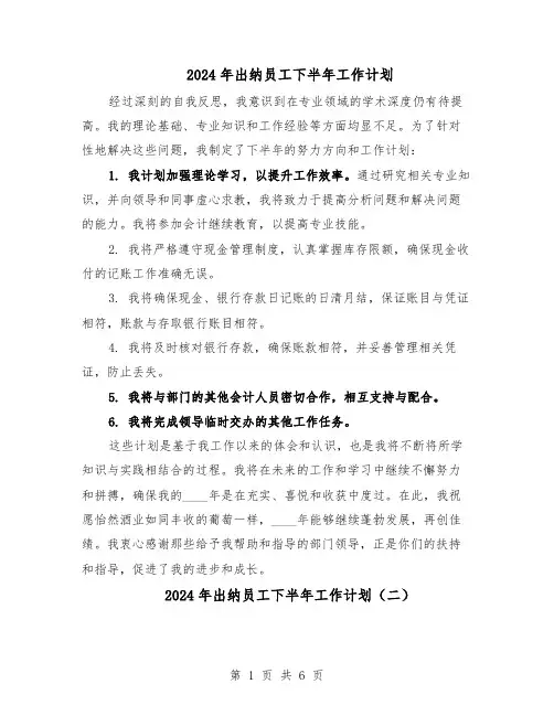 2024年出纳员工下半年工作计划（4篇）