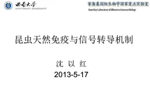 研究生教学-昆虫天然免疫与信号传导