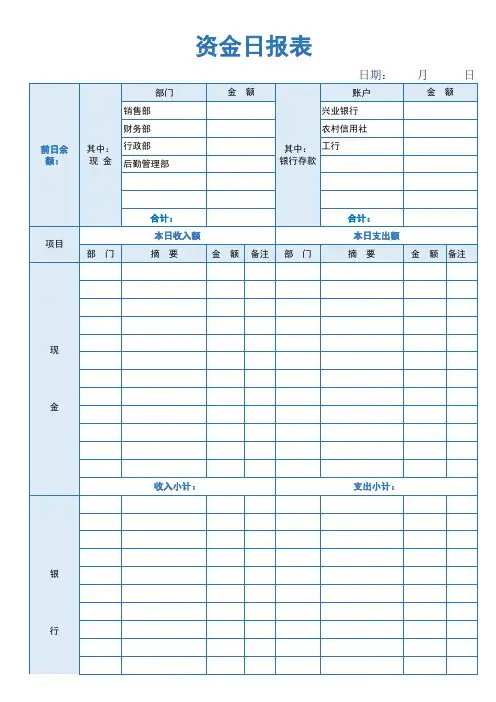 出纳资金日报表-最新