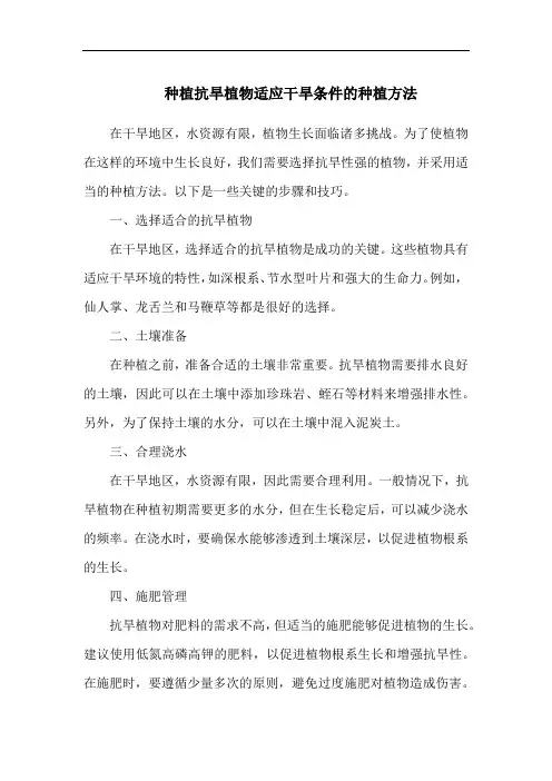 种植抗旱植物适应干旱条件的种植方法