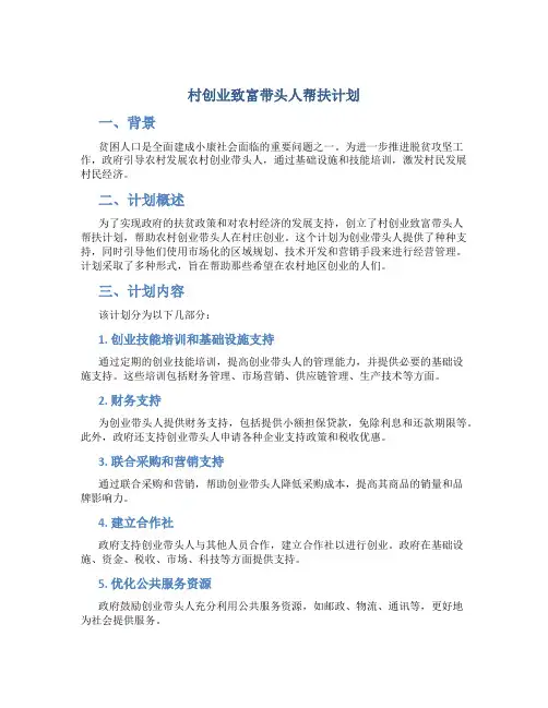 村创业致富带头人帮扶计划