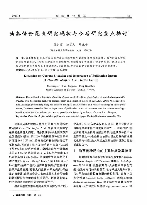 油茶传粉昆虫研究现状与今后研究重点探讨
