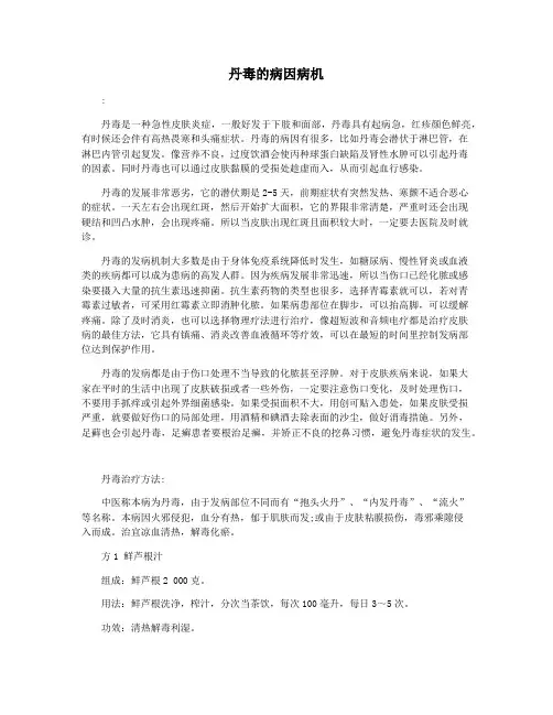 丹毒的病因病机