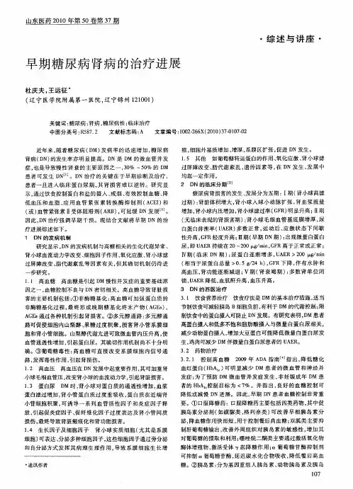 早期糖尿病肾病的治疗进展