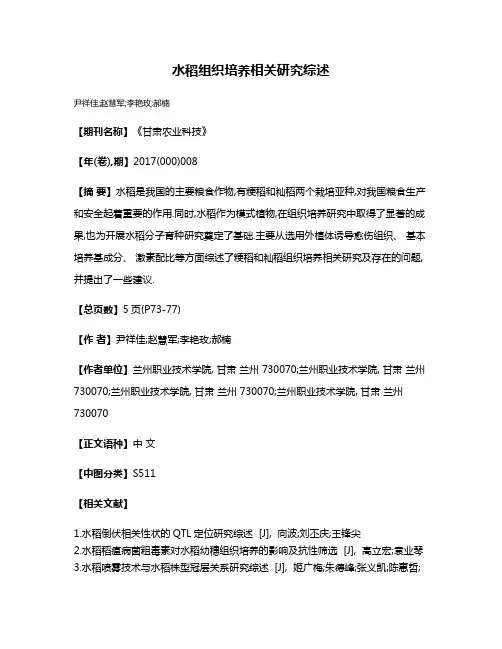 水稻组织培养相关研究综述