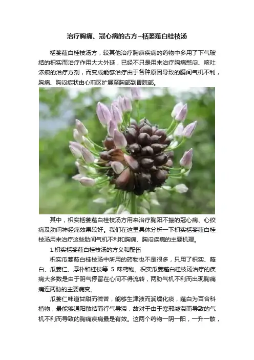 治疗胸痛、冠心病的古方~栝蒌薤白桂枝汤