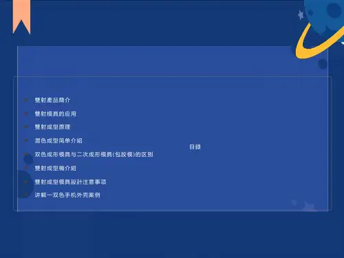 双色模具设计资料
