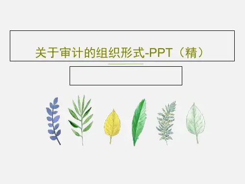 关于审计的组织形式-PPT(精)共16页